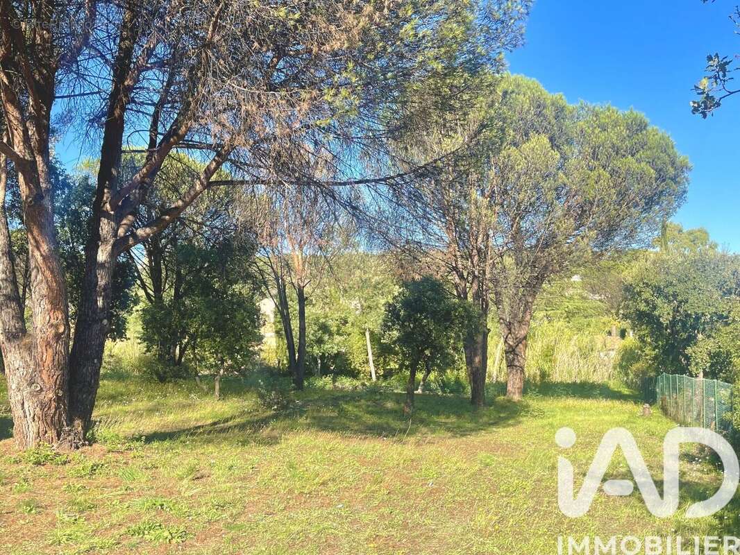 Photo 2 - Terrain à GRIMAUD