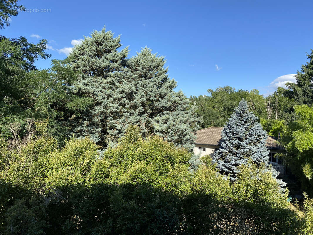 5 MN ANNONAY, maison de 128m2 sur un terrain de 3141m2 - photo 5