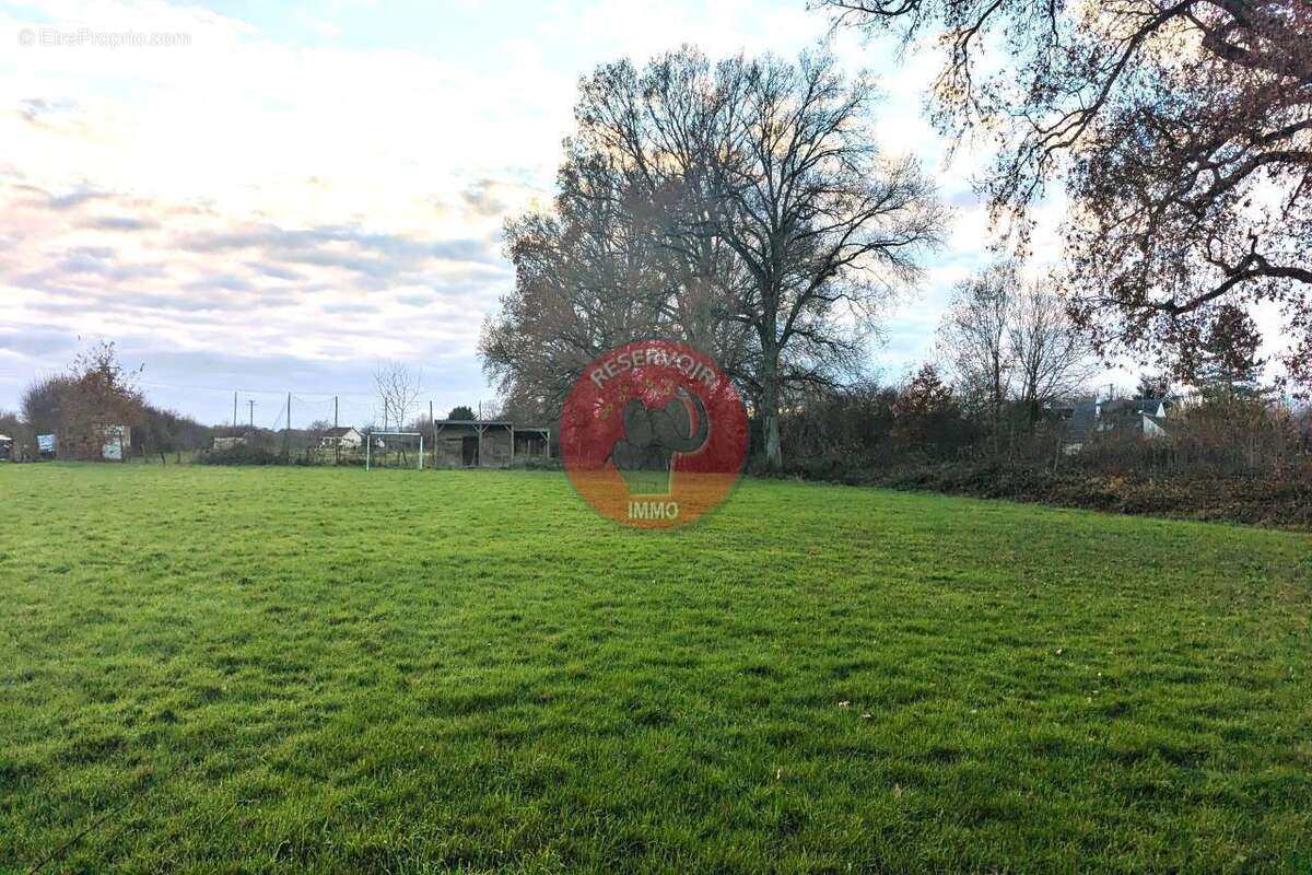 Terrain à PONTAILLER-SUR-SAONE