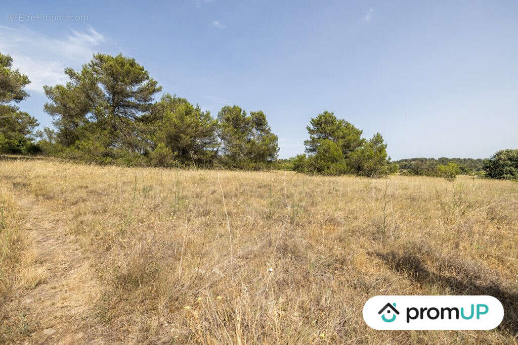 Terrain à MALVES-EN-MINERVOIS