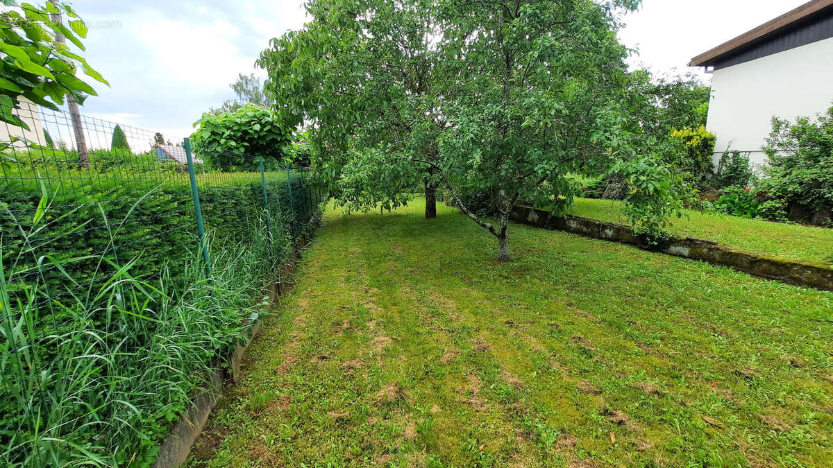 Maison 123 m2 à Uffholtz sur 25 ares - photo 14