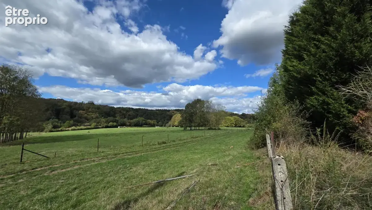 Longère en pierres à rénover, secteur calme et verdoyant à Saint-Michel - photo 3