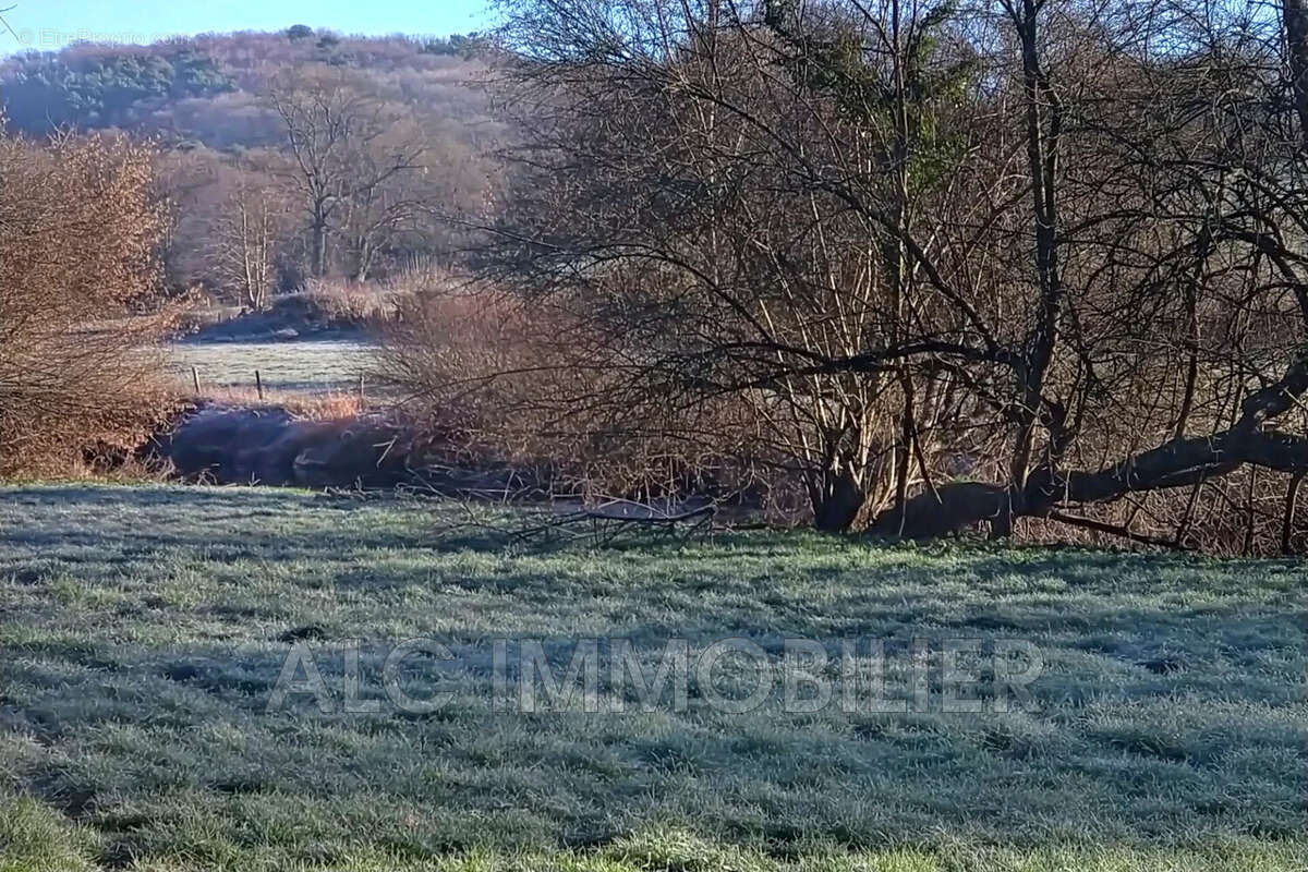Terrain à SAINT-LEONARD-DES-BOIS