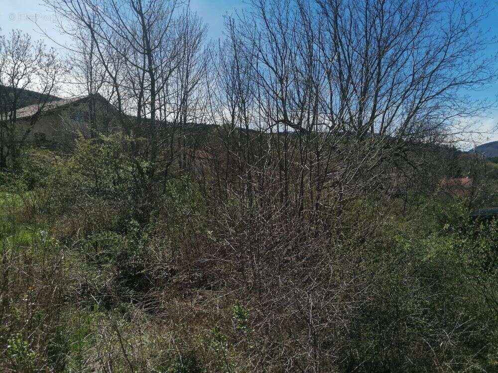 Terrain à LA FAURIE