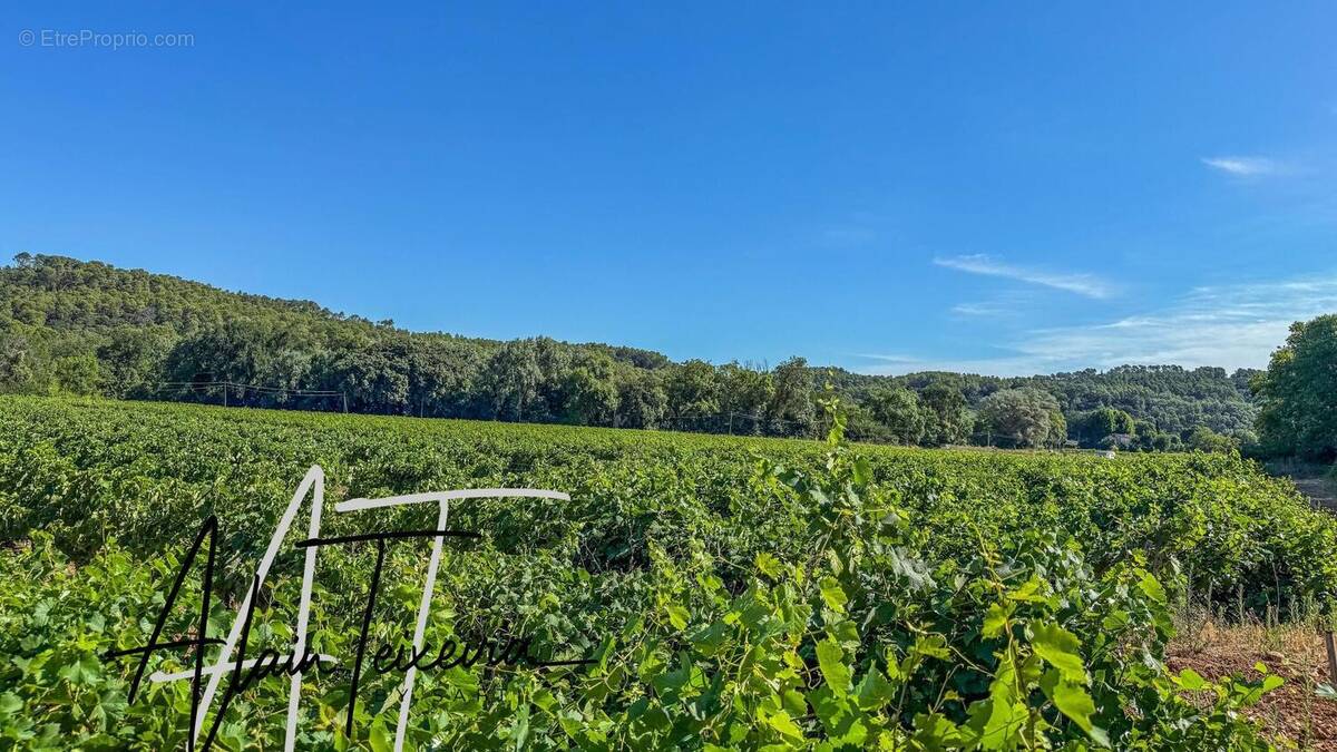 Photo 1 - Terrain à LE THORONET