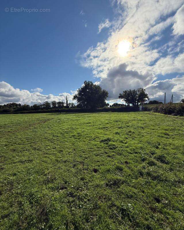 Terrain à AMEUGNY