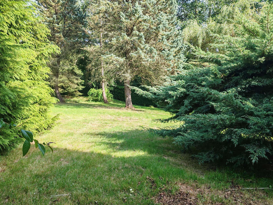 A l'oree de la foret de retz - photo 23