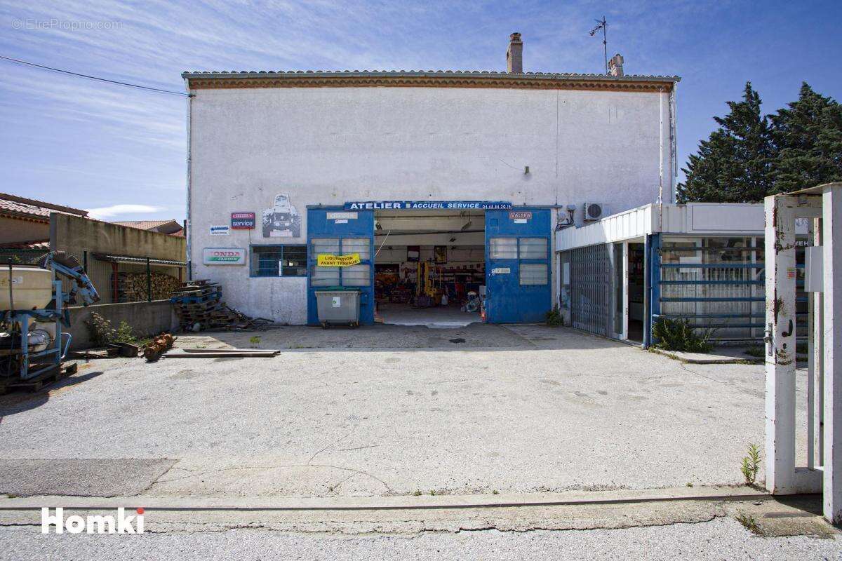 Local commercial T6 de 470 m2 à Ille-sur-Têt 66130, Route de Perpignan - photo 2