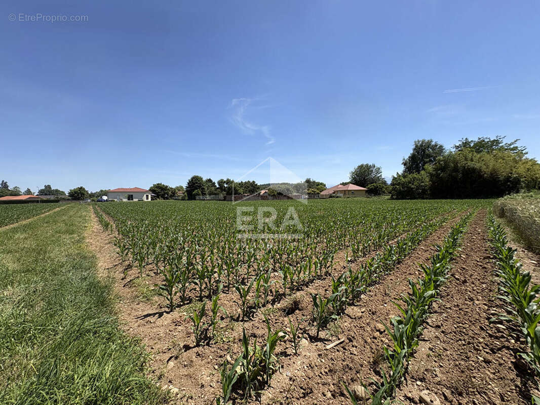 Terrain à JUILLAN
