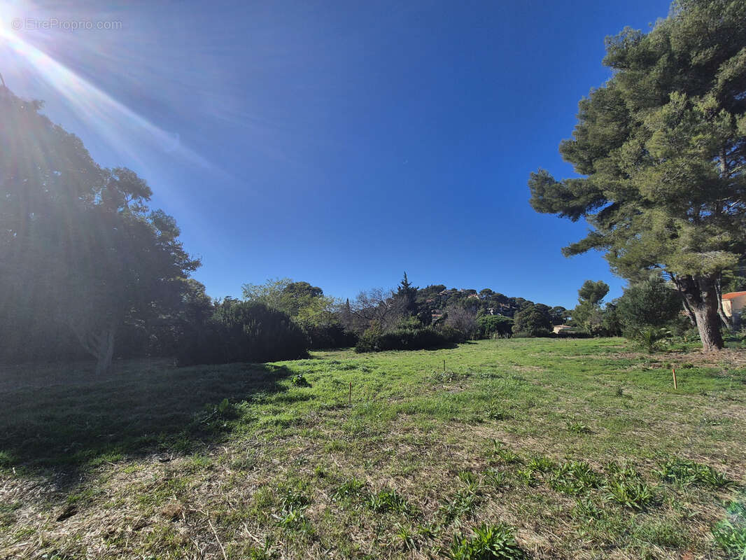 Terrain à LE PRADET