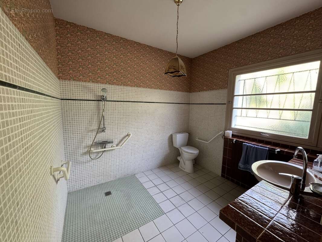 Maison 229 m² à Blanzac-Porcheresse  - photo 90
