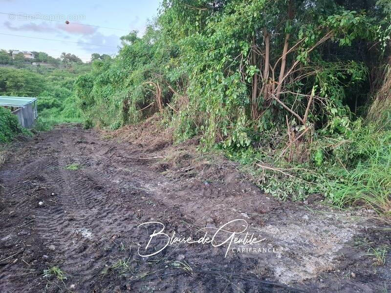 Terrain à SAINT-FRANCOIS