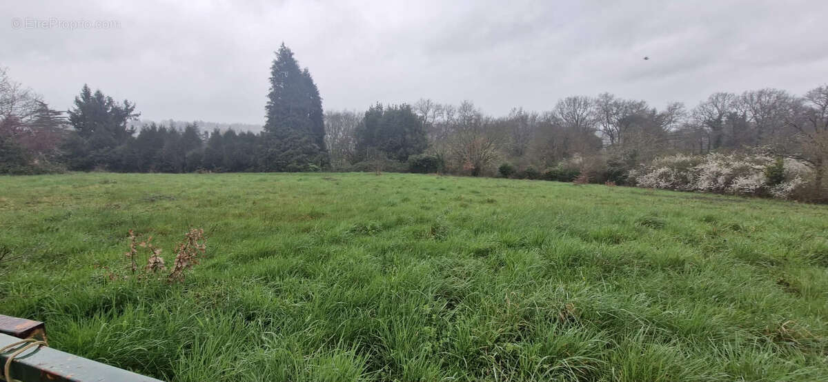 Terrain à CONFOLENS