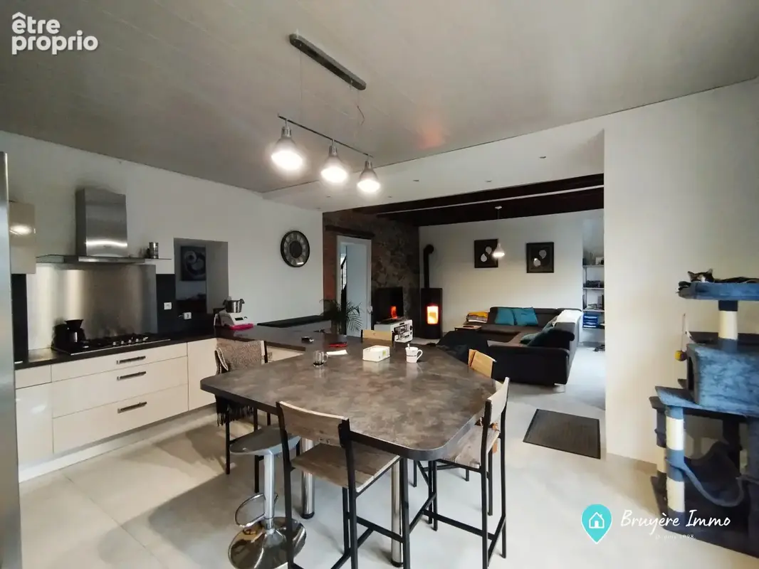Maison 7 pièces 194 m² à vendre à Avesnelles (59440) - photo 2