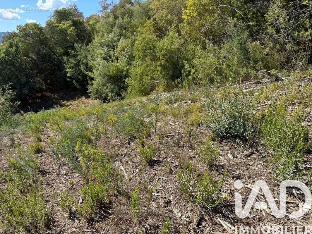 Photo 3 - Terrain à MANDELIEU-LA-NAPOULE