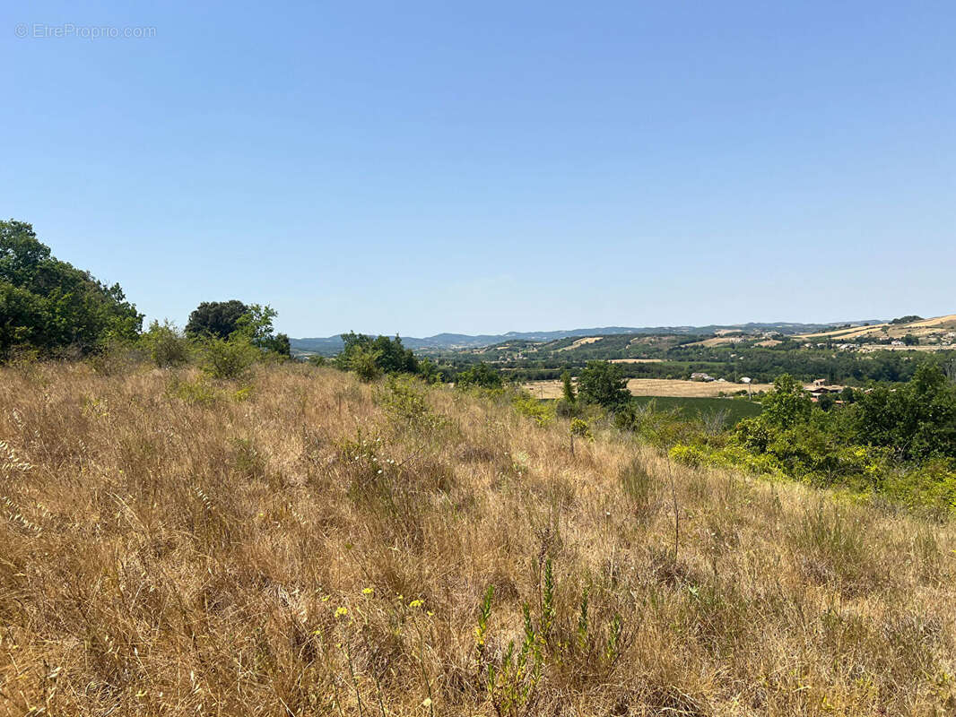 Terrain à bâtir Limoux 14700 m² - photo 12