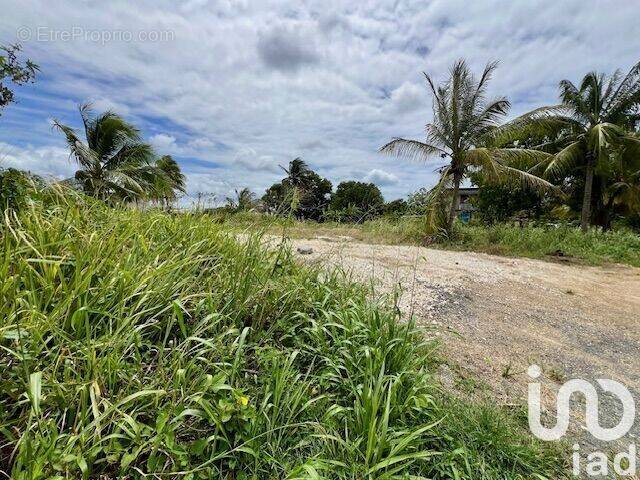 Photo 1 - Terrain à PORT-LOUIS