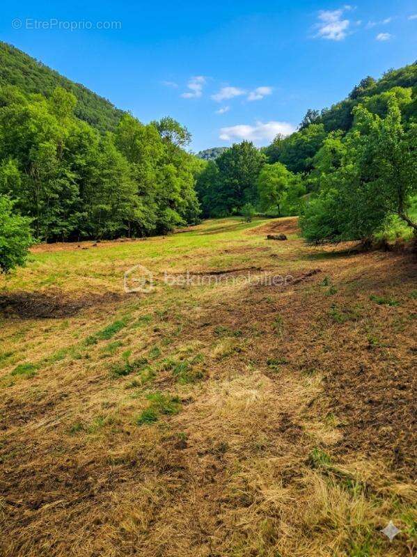 Charme et quiétude à Molocazal : Maison avec grand terrain au bord de la rivière - photo 3