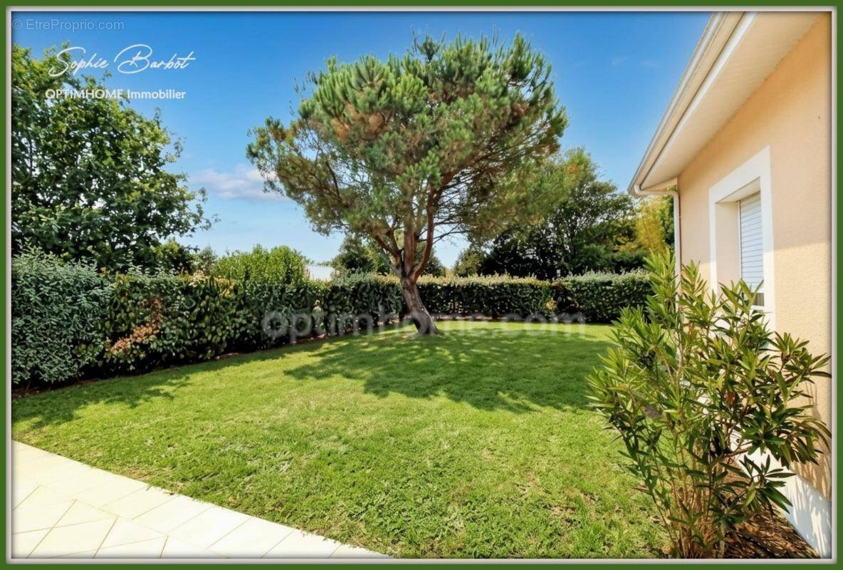 Photo Maison à Gujan-Mestras au prix de 695 000€