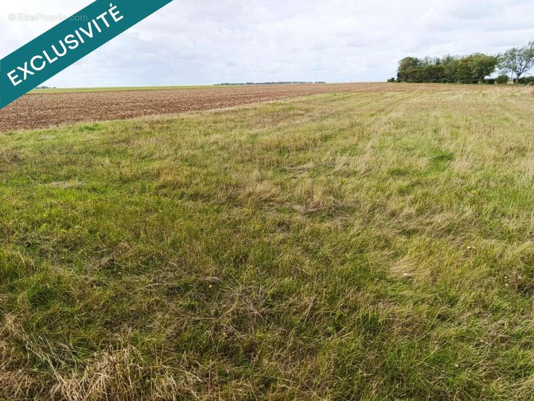 Photo 2 - Terrain à CHOUDAY