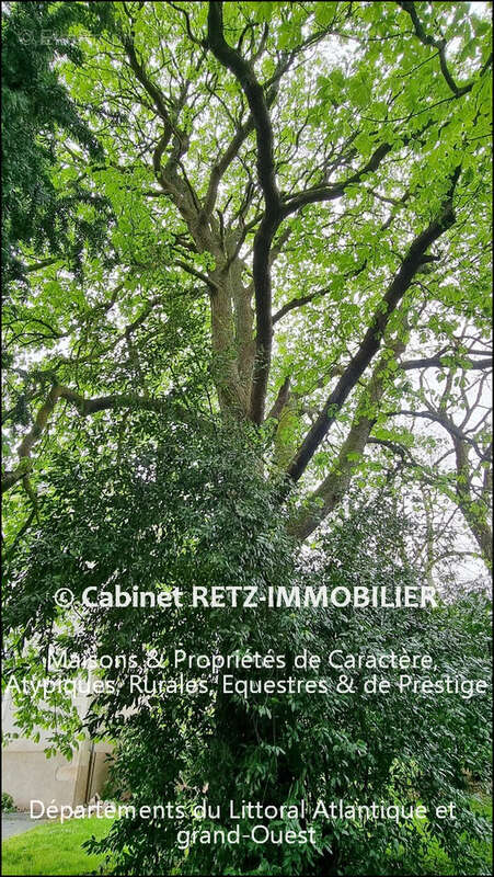 Maison à HAUTE-GOULAINE