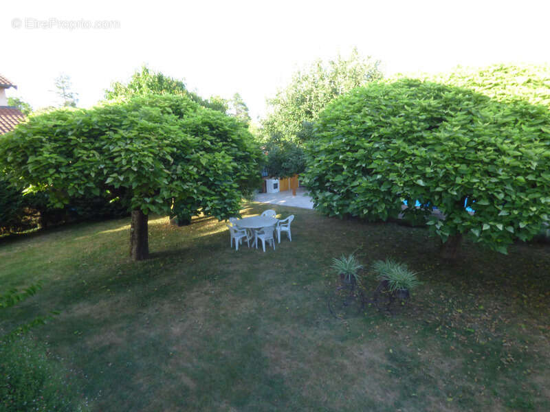 Maison à vendre 5 pièces BELLEVILLE EN BEAUJOLAIS (69) - Terrain de 1000 m2 - photo 7