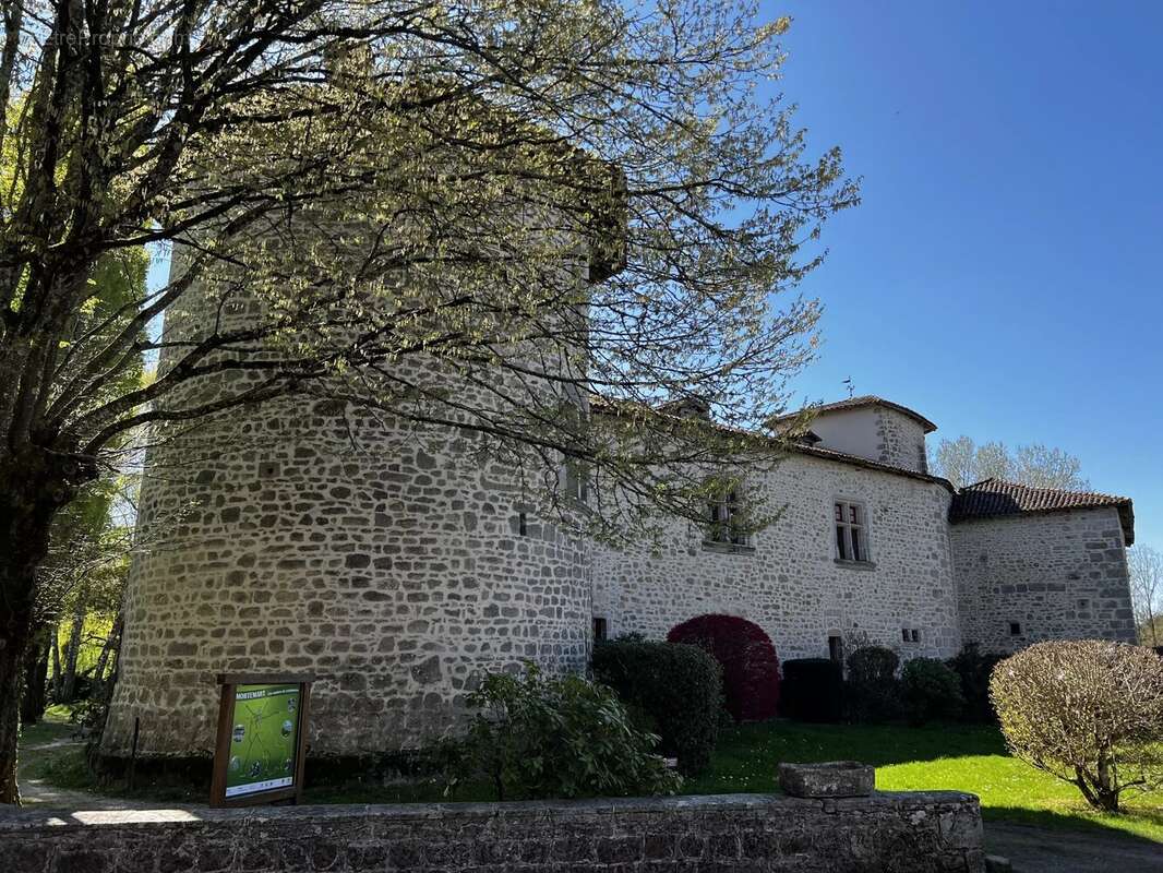 Commerce à MORTEMART