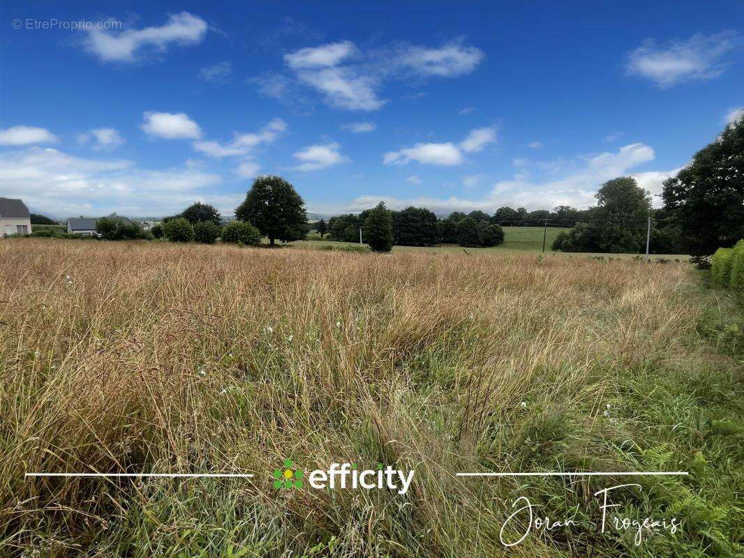 Terrain à LES LOGES-MARCHIS