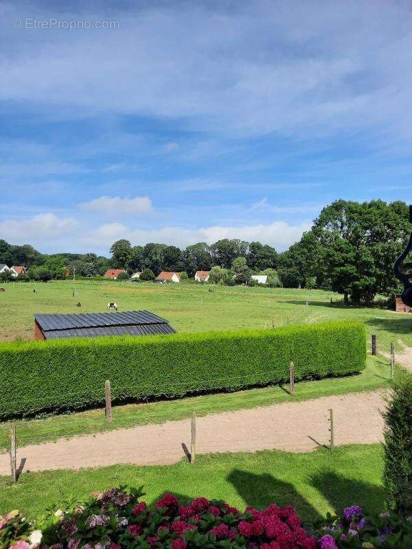 Terrain à BLOSSEVILLE