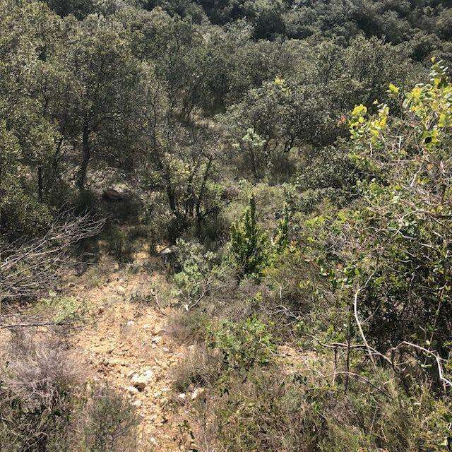 Photo 3 - Terrain à SAINT-BONNET-DU-GARD