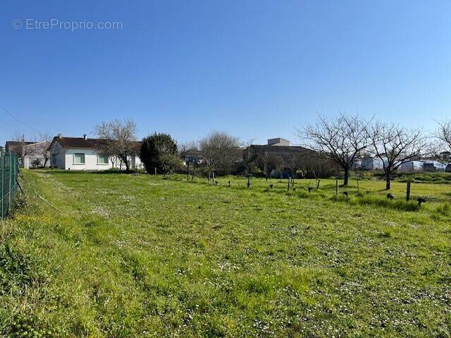 Terrain à CHATEAUBERNARD