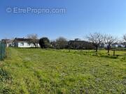 Terrain à CHATEAUBERNARD