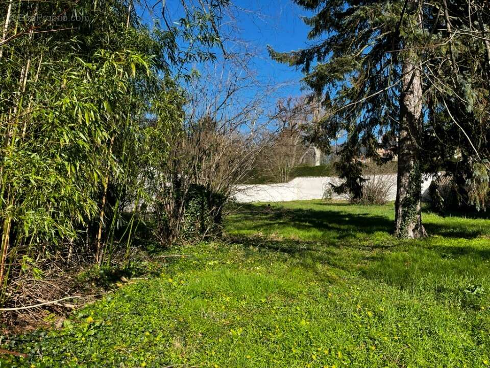 Terrain 400 m² à Parcieux  - photo 4