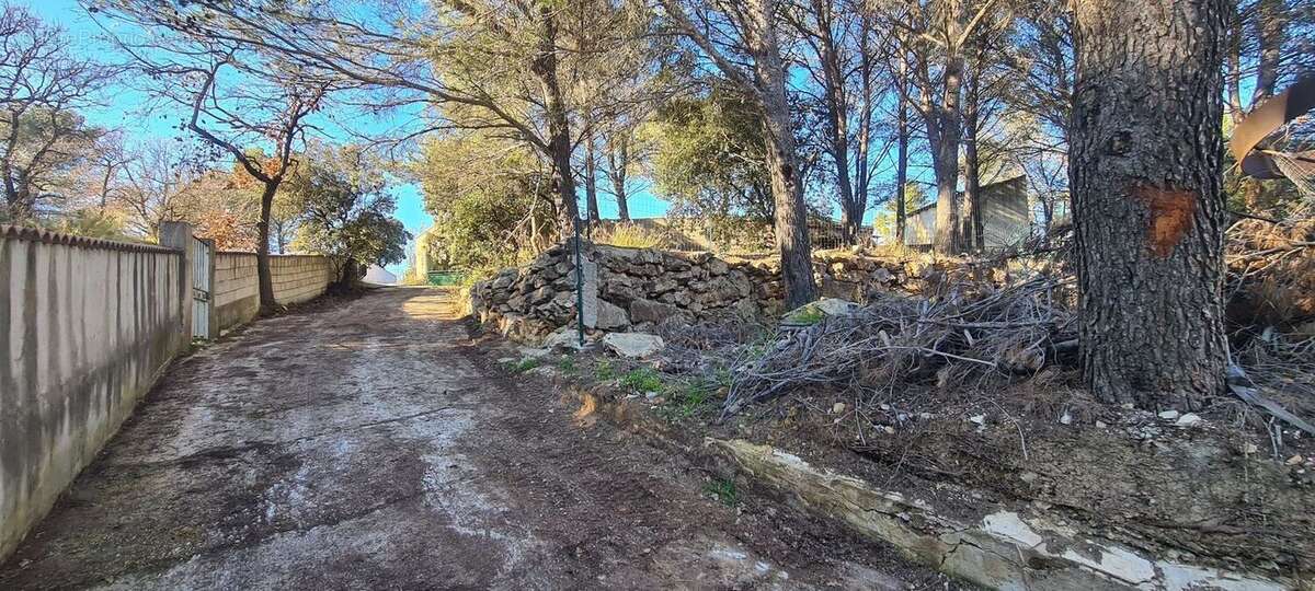 CUGES LES PINS-MAISON DE MACON 7 PIECES-A VENDRE-4 - Maison à CUGES-LES-PINS