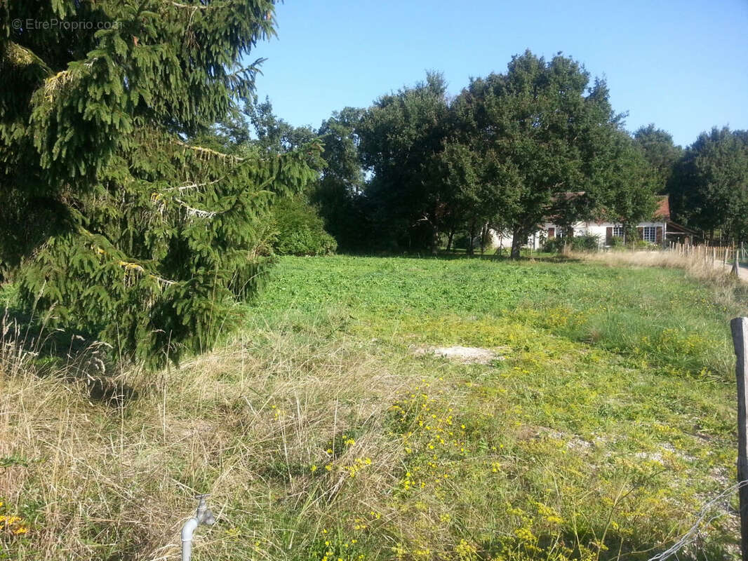 Terrain à OUSSOY-EN-GATINAIS