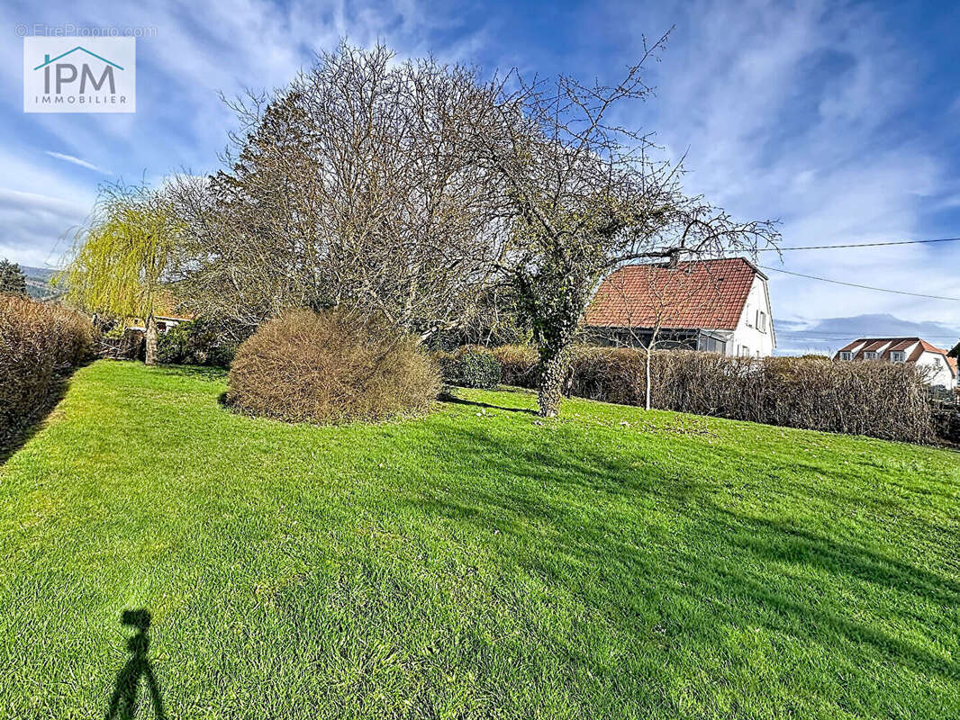 Terrain à NIEDERHASLACH