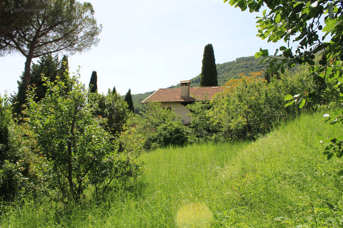 Vence - terrain à bâtir - 2034m2 - photo 13