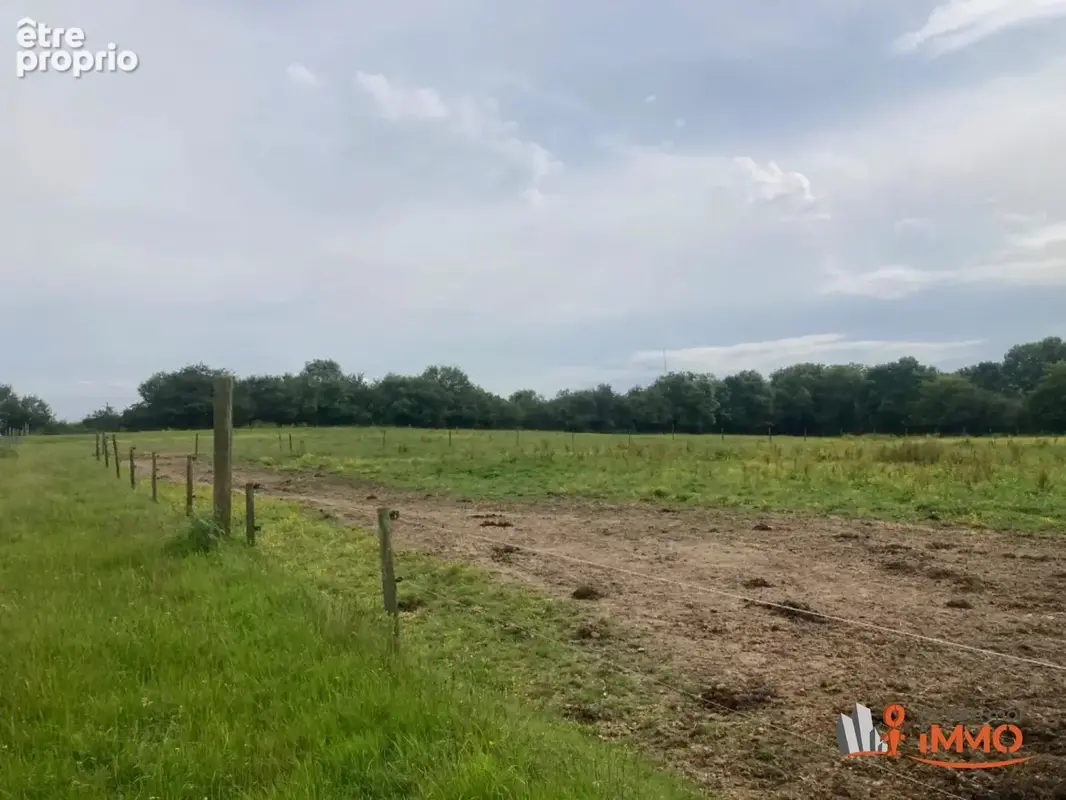 Propriété équestre avec chambres d'hôtes sur 4,3 hectares av - photo 8