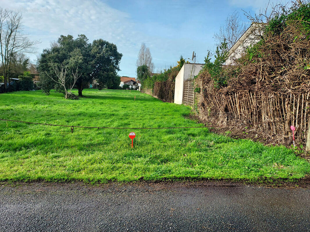 Terrain à LE CHATEAU-D'OLERON