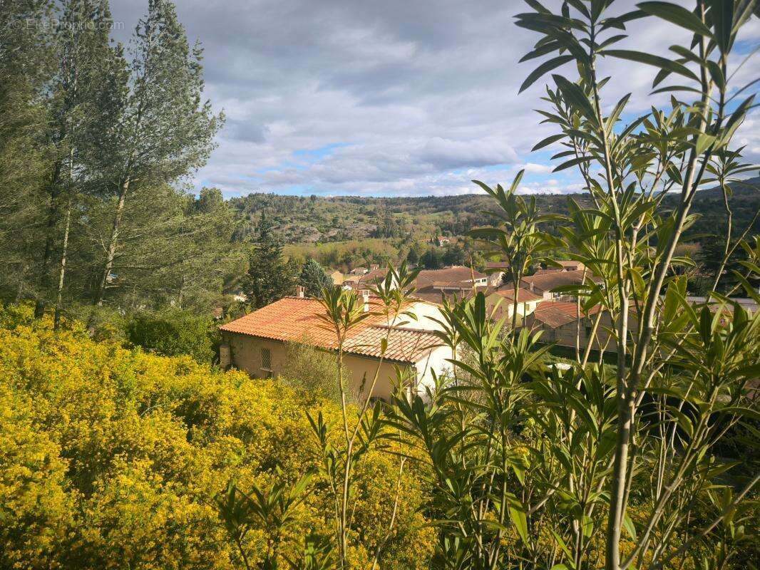 Villa + terrain de 9500 m2 + garage+  sources d'eau - photo 5