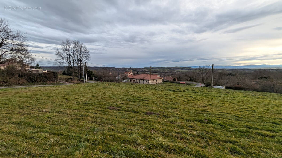 Terrain à MONTCEL