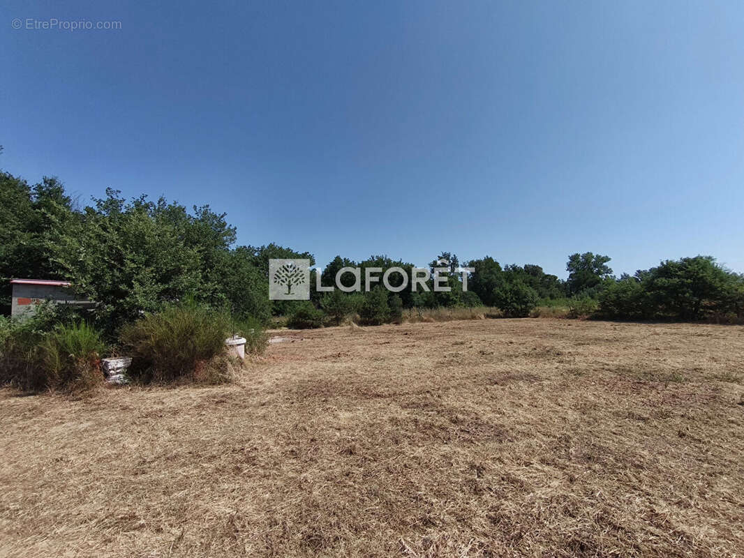 Terrain de loisirs non constructible avec cabanon Maureillas-Las-Illas - photo 8