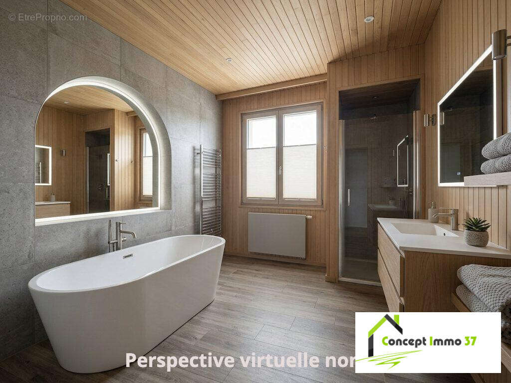 Maison à BALLAN-MIRE