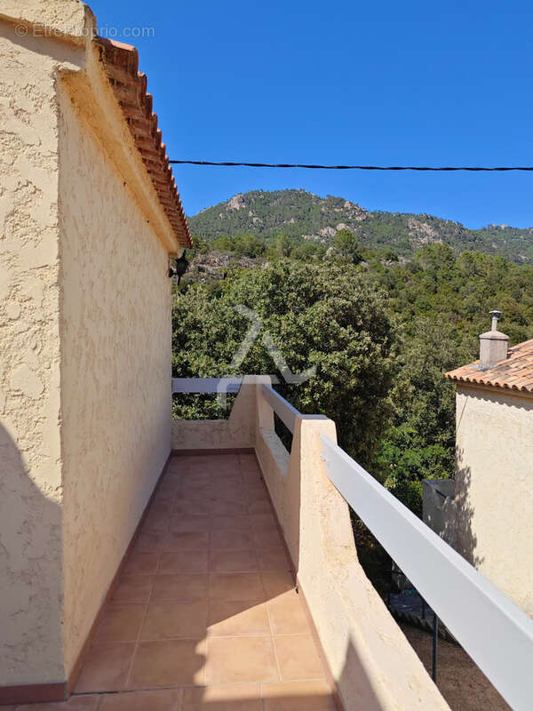 Maison à ZONZA
