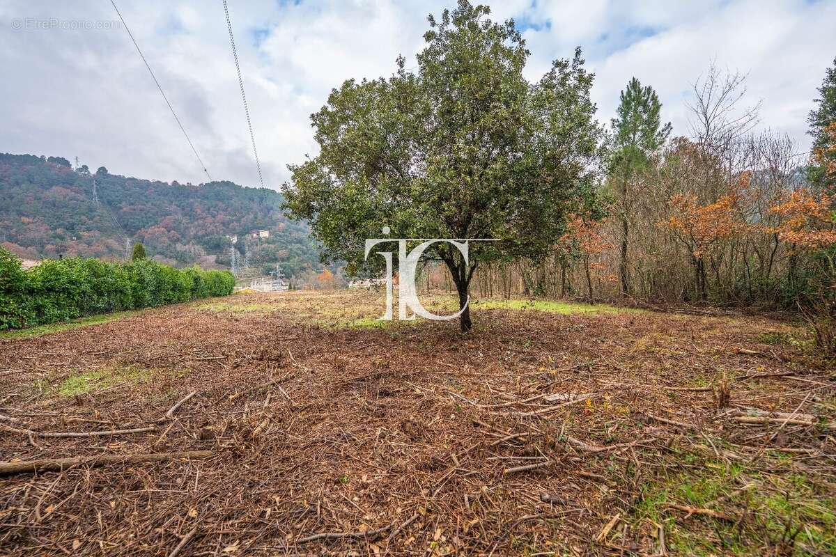 Terrain à CHAMBONAS