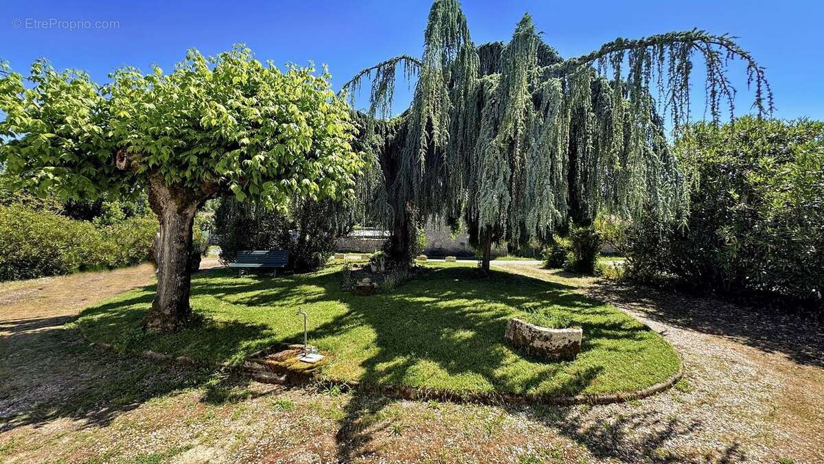 Maison pierre et moellons à NAUJAN - photo 4