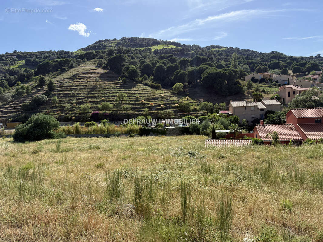 Terrain à COLLIOURE