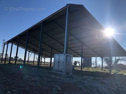 Terrain à SAINT-MARTIN-DE-RIBERAC