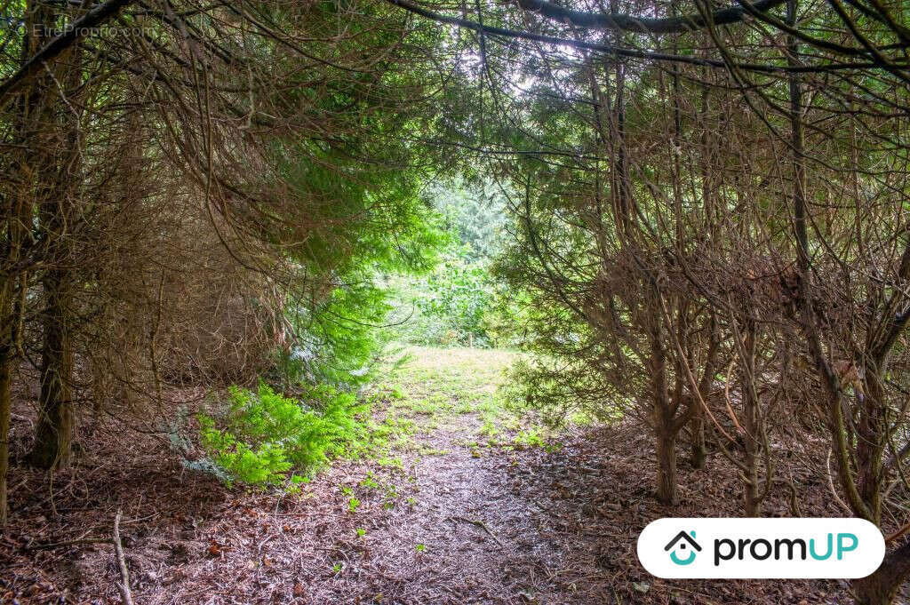 Terrain à COURMELLES