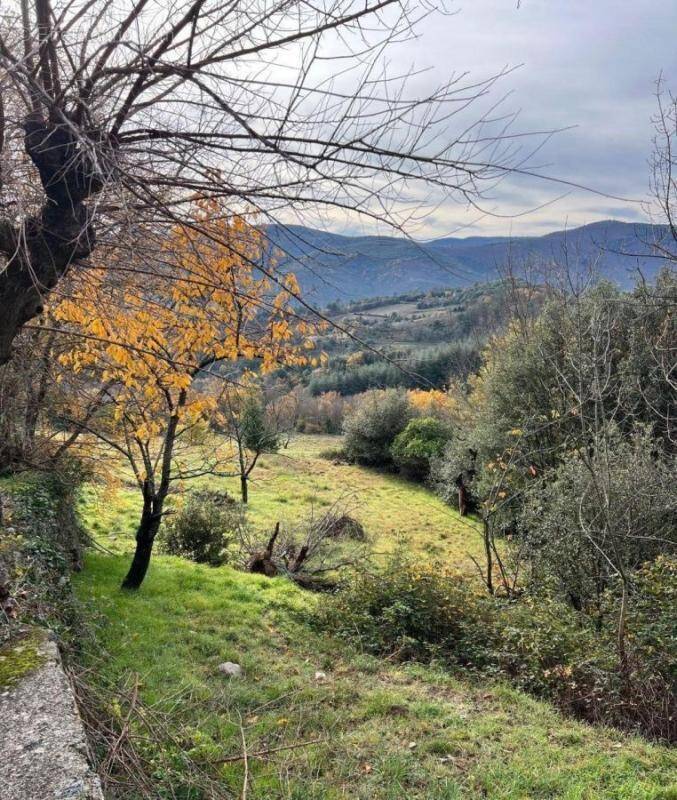 Terrain à SAINT-JULIEN
